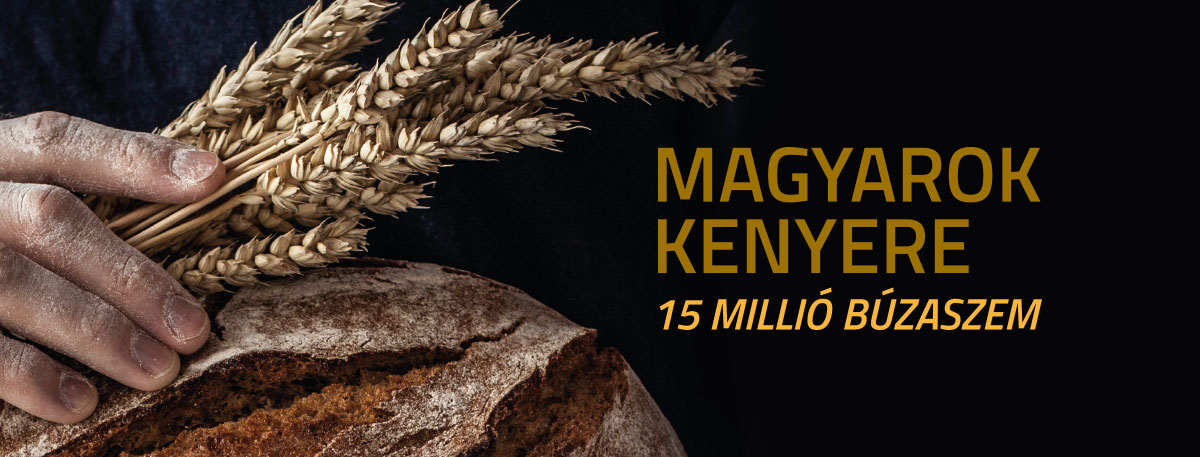 Magyarok Kenyere 15 milliió búzaszem